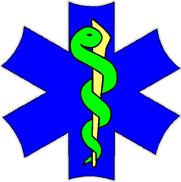 (image for) Star Of Life Decal