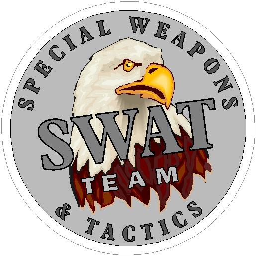 (image for) SWAT TEAM Decal