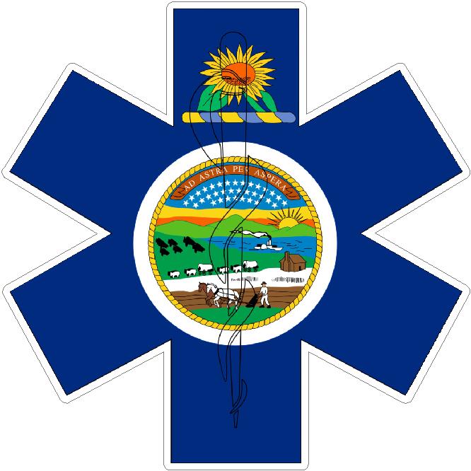 (image for) State Of Kansas Star Of Life Decal