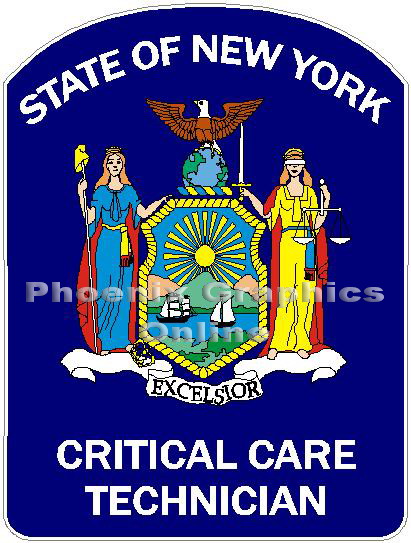 (image for) State of New York Critical Care Technician Decal