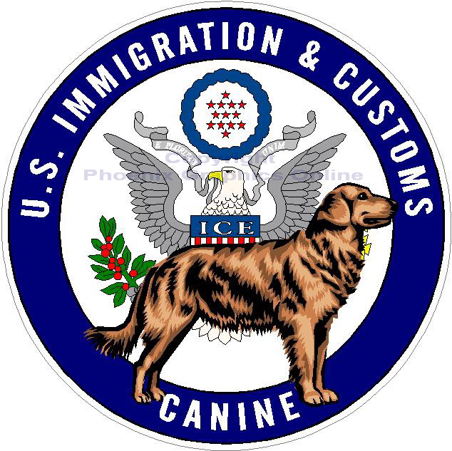 (image for) U.S. Immigration & Customs Canine Decal