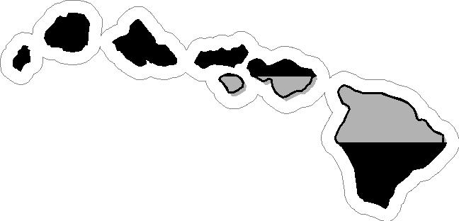 (image for) Hawaii Thin Silver Line Decal
