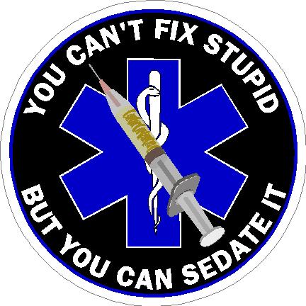 (image for) You Can't Fix Stupid Star of Life Decal