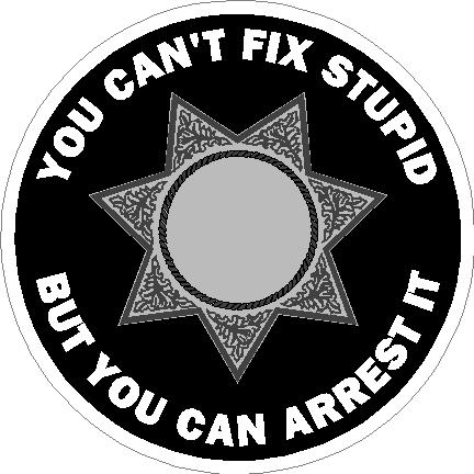 (image for) You Can't Fix Stupid 7 Point Star Badge Decal