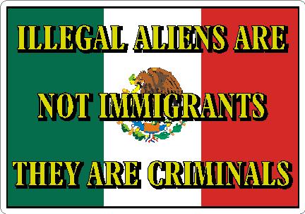 (image for) Illegal Ailens Are Not Immigrants Decal